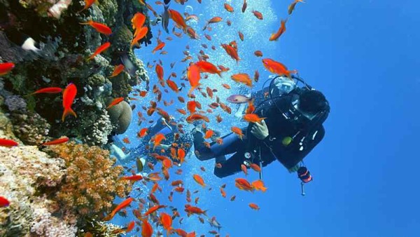 sharm el sheik egitto miglior viaggio di nozze