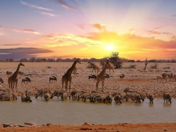 Namibia la bellezza della natura