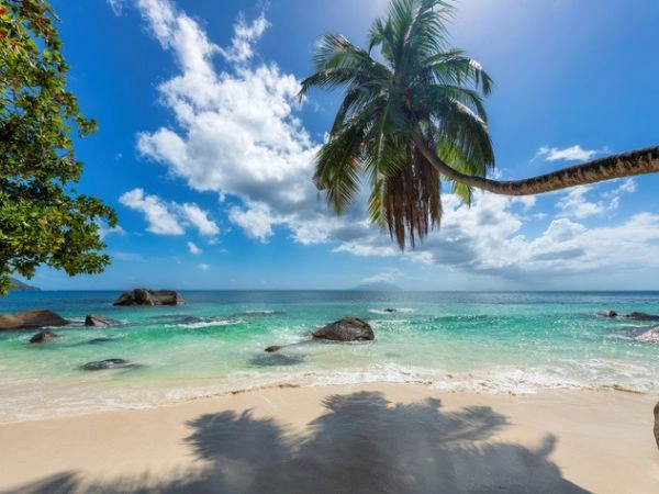 Viaggiare a Seychelles per vivere una vacanza indimenticabile