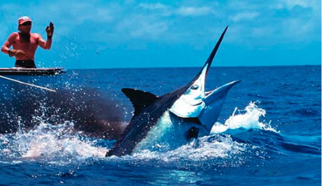 pesca al marlin a cuba