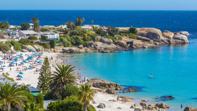 Finalmente hai deciso di realizzare il sogno di un viaggio in Sud Africa