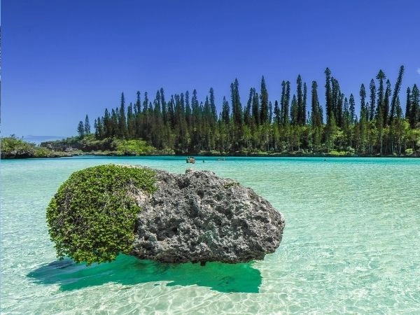 Isola dei Pini, Nuova Caledonia, tra natura selvaggia e mare turchese