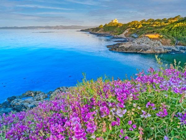La primavera a Vancouver e Victoria è molto più calda