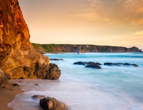 Viaggio in Australia: le principali attrazioni da non perdere
