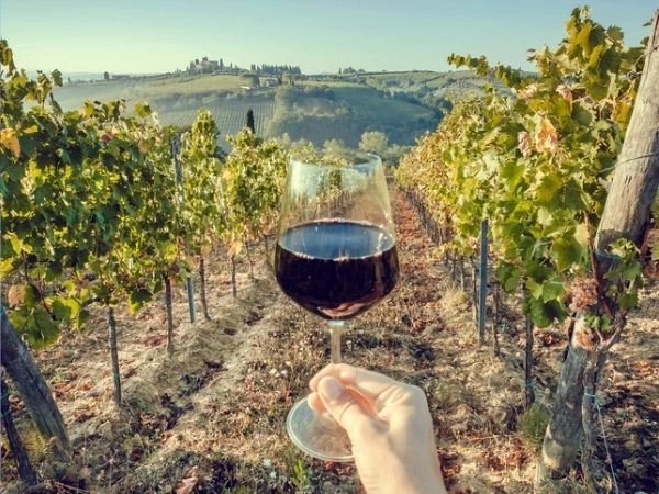 Toscana, terra di vigneti, vini pregiati, colline e tradizioni enogastronomiche