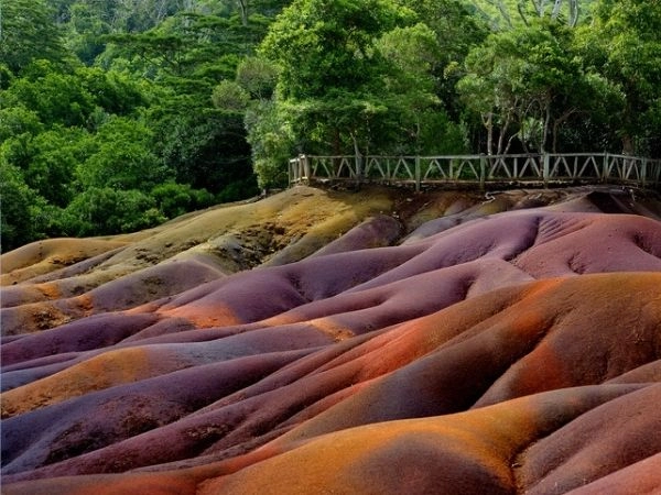 Una vacanza a Mauritius si presta ad avventure nell'entroterra alla scoperta delle foreste pluviali tropicali