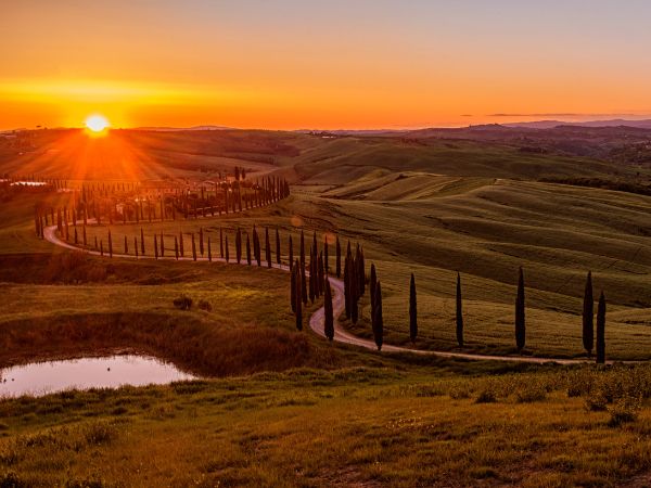 Viaggio di nozze in Toscana