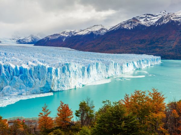 Calafate
