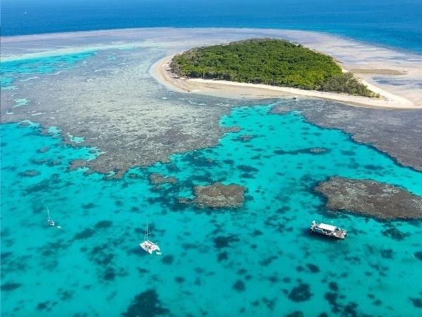 Lady Musgrave Island, Barriera Corallina Meridionale, Queensland Australia