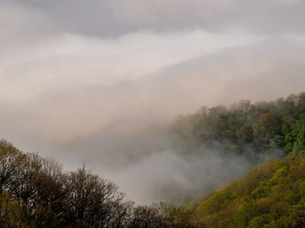 Great Smoky Mountains