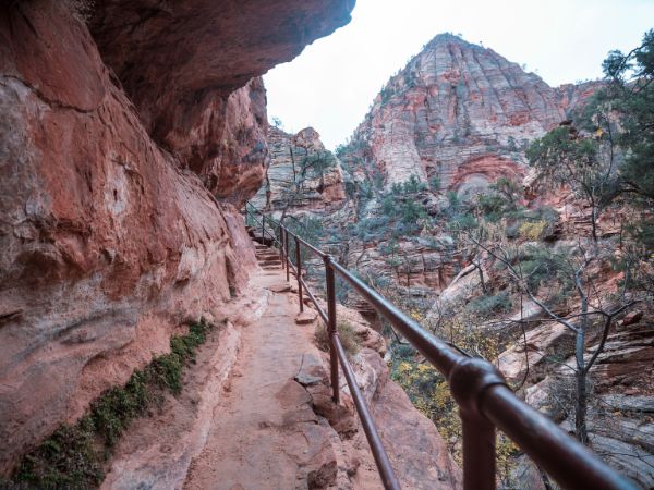 Zion