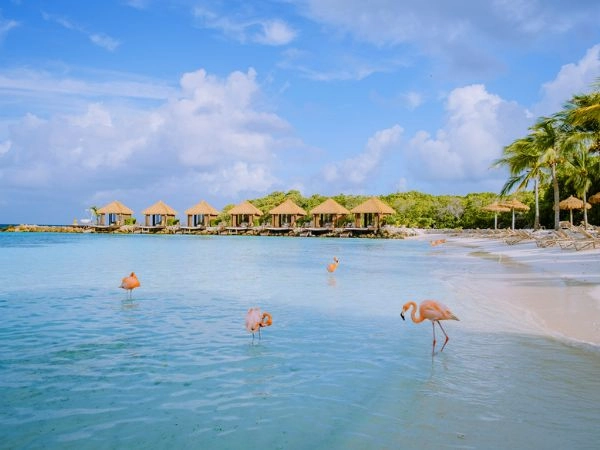 Ad Aruba il consolidato epiteto di “Isola felice” si applica ai residenti