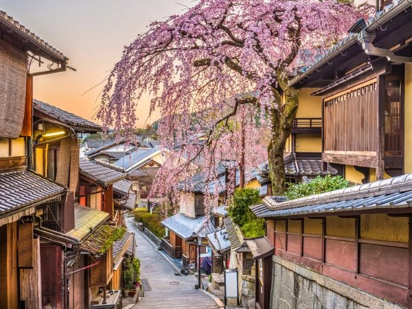 Kyoto, Giappone sta emergendo come una delle destinazioni asiatiche iconiche