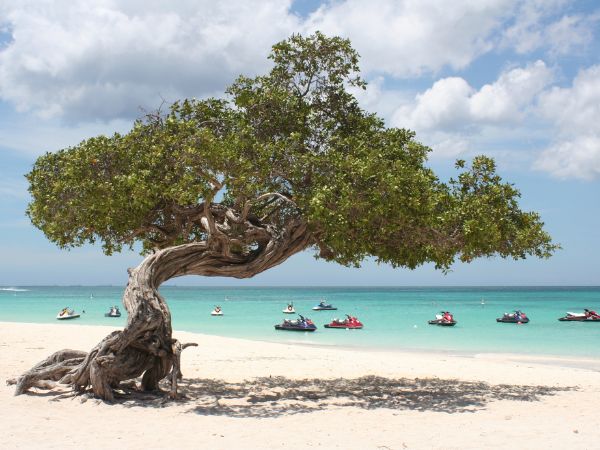 Aruba