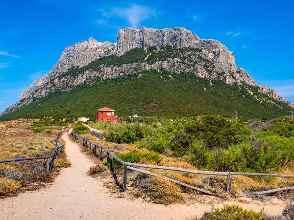 Monte Cannone, vetta dell'isola di Isola Tavolara