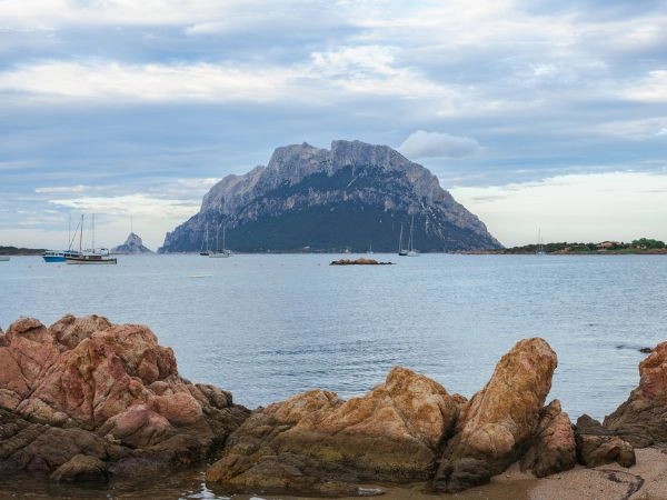 Tavolara, mare cristallino, natura selvaggia, rocce, calette, immersioni, panorami
