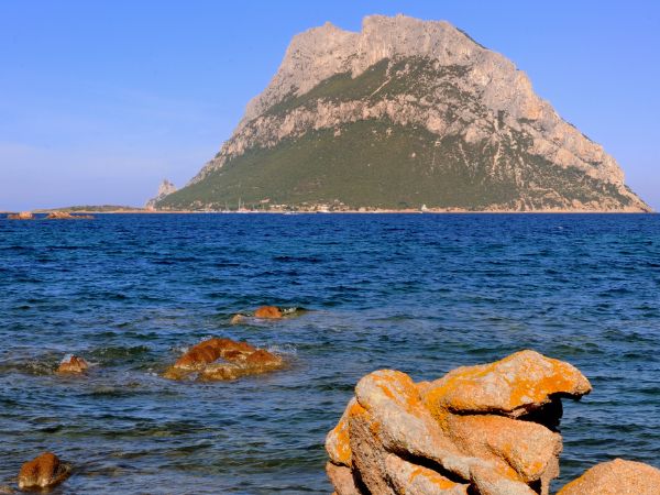 Il regno di Tavolara