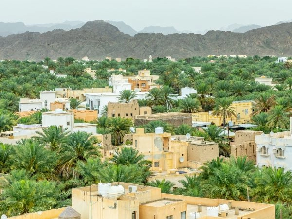 Vecchie strade della città araba di Nizwa nascoste tra le palme
