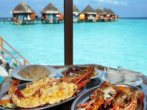 Gustare aragosta alla finestra in maldive