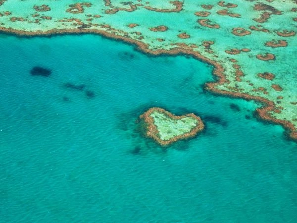In Australia si trova una delle barriere coralline più belle del mondo l’Heart Reef