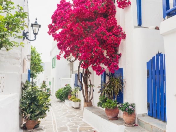 Paros