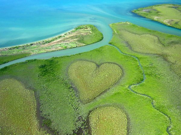 Il cuore di Voh, La Nuova Caledonia