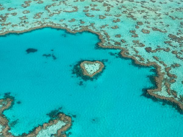 Heart Reef, Australia