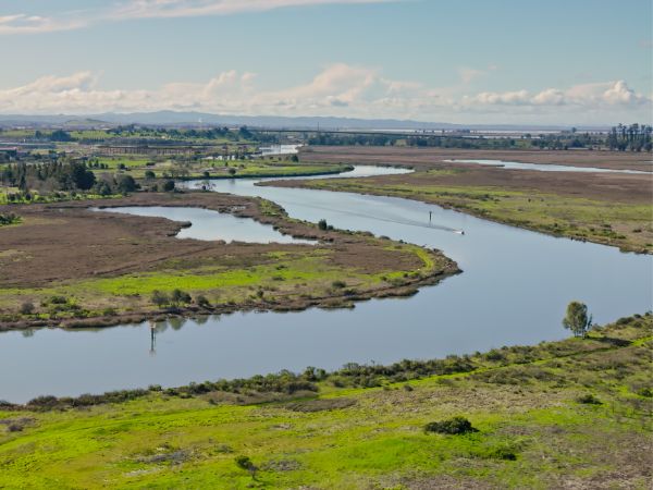 Napa