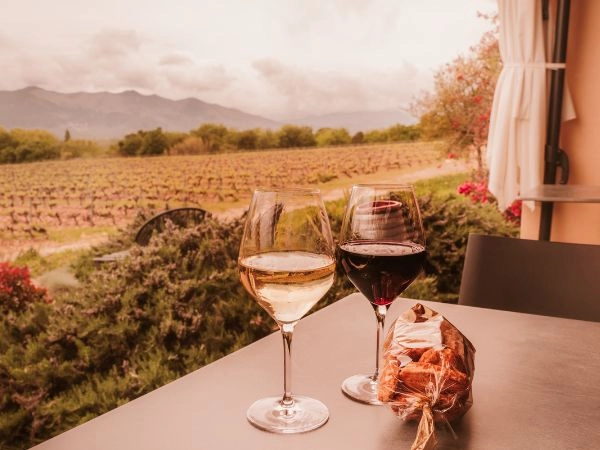 Visitare la Stag's Leap Wine Cellars