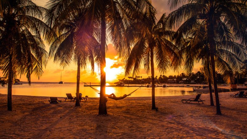 isole cayman