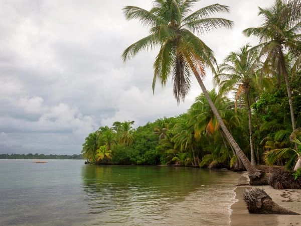  Starfish Beach in Bocas del Toro, Panama