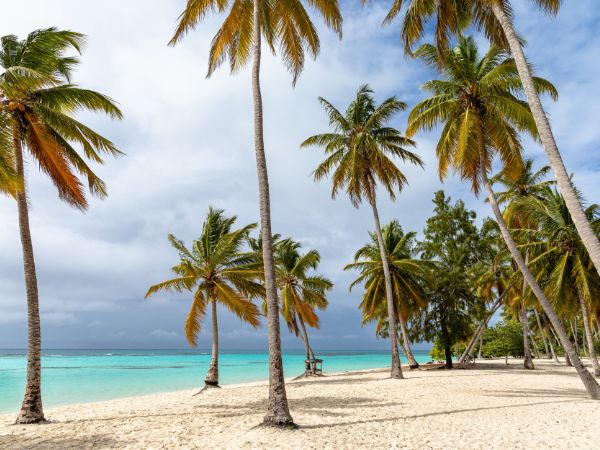 Caraibi