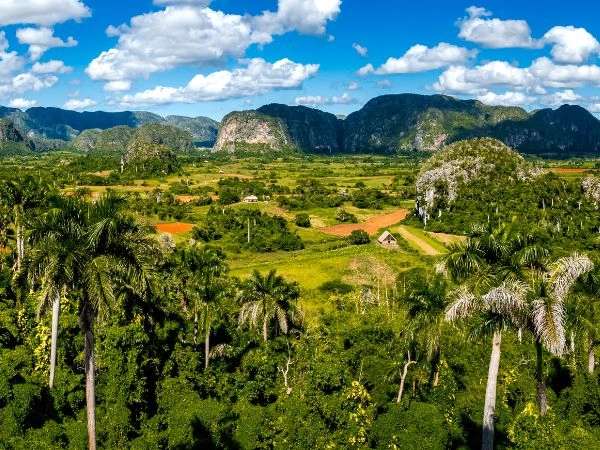 Campi di tabacco nella valle di Viñales e le colline di Mogote del Parco Nazionale di Vinales Cuba