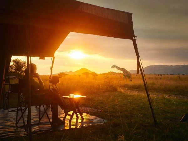 Safar ella savana africana del Parco Nazionale del Serengeti, in Tanzania