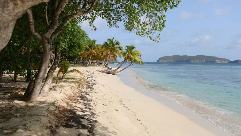 Vacanze privilegiate a Mustique, l’isola dei privata Caraibi