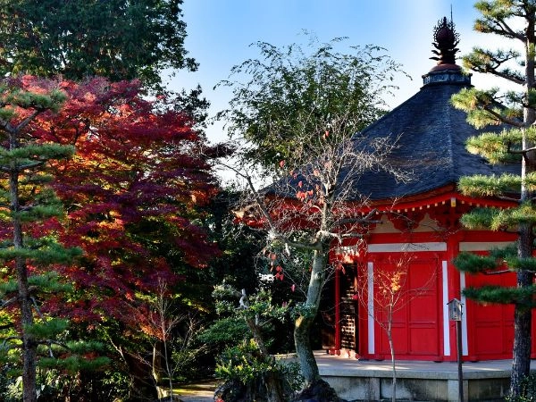 Viaggio autunnale nel Tempio di Tofuku-ji, Kyoto, Giappone