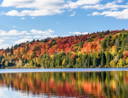 Viaggi autunnali: i posti migliori per vedere il foliage