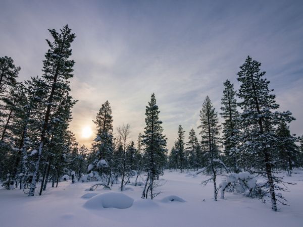 Parco Nazionale Urho Kekkonen