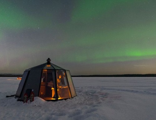 Vacanze da brividi: una notte in un Igloo di vetro in Finlandia