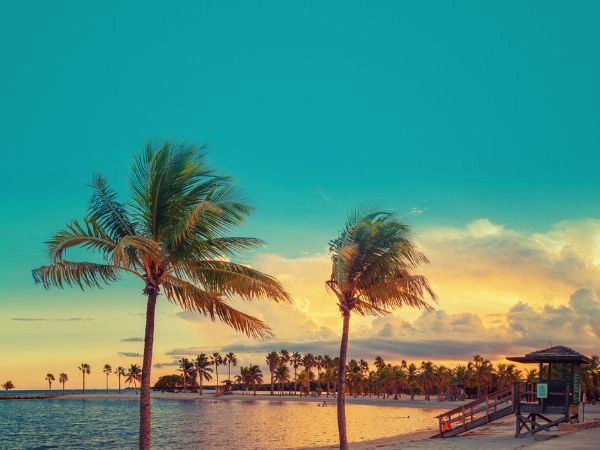 Miami con i suoi viali fiancheggiati da palme, grattacieli eleganti, quartieri vivaci, clima tropicale e spiagge famose