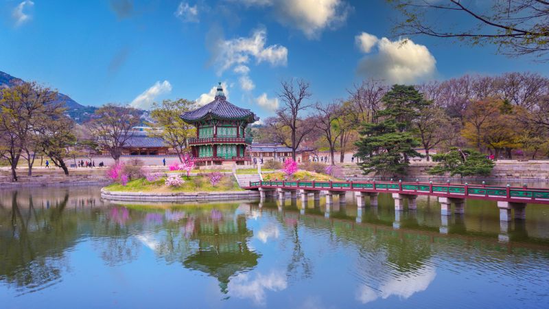 Viaggio del gruppo in Corea Del Sud