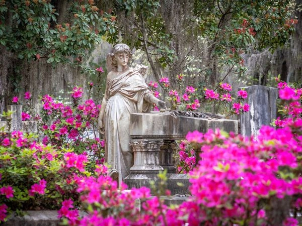 Bonaventure Cemetery, reso famoso dal best-seller del 1994 “Mezzanotte nel giardino del bene e del male”