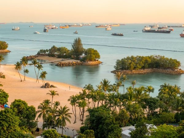La superficie di Singapore comprende ben 64 isole al largo che circondano l'isola principale