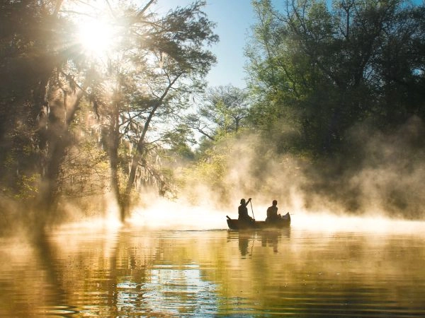 Passeggiare attraverso il Parco nazionale delle Everglades Florida