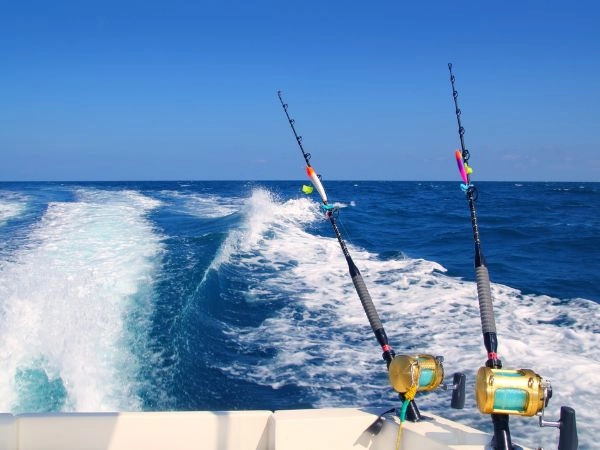 Vivere un’esperienza unica a un torneo di pesca