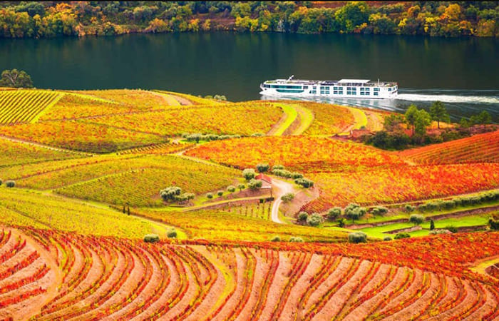 viaggio autunnale nella Valle del Douro in Portogallo