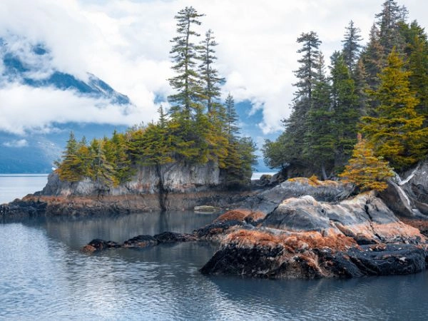 Esplorare il Parco Nazionale di Kenai Fjords, Alasca