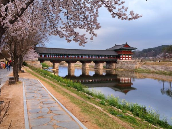 Scoprire Gyeongju, tra storia e tradizioni della Corea del Sud