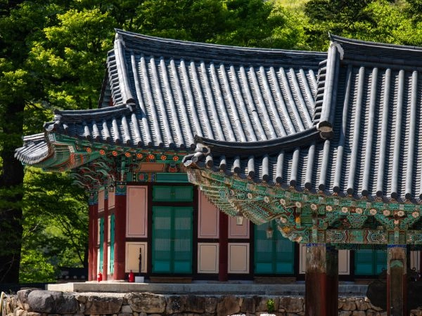 Scoprire il Tempio di Haeinsa, Corea del Sud