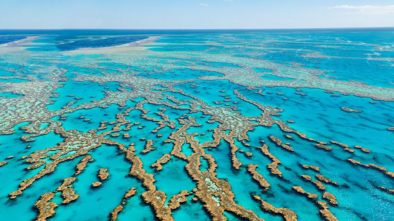 barriere coralline più affascinanti del mondo